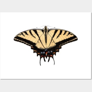 Two-tailed Swallowtail Posters and Art